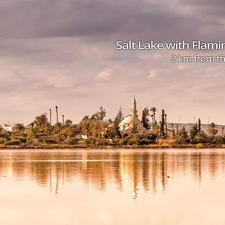 Apartment Paradise Palms Seaview *