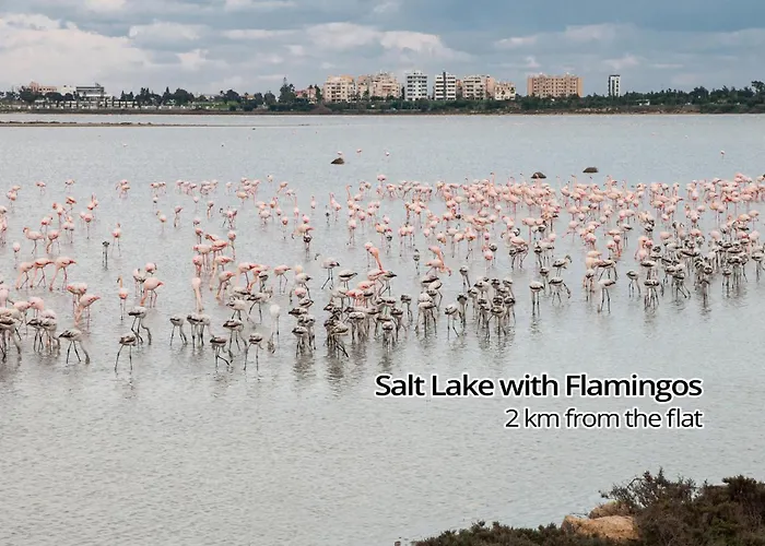 Paradise Palms Seaview Larnaka